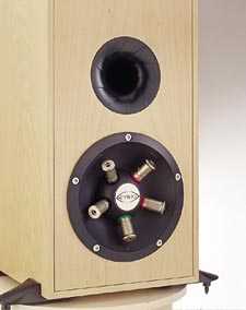 Tannoy Eyris speakers in Roanoke VA at Uptown Audio